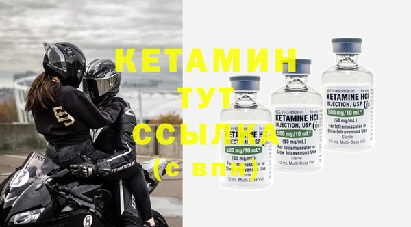 дмт Ельня