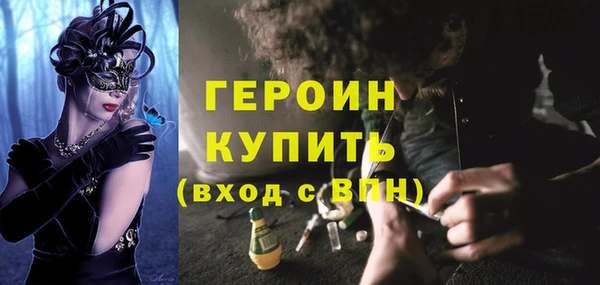 дмт Ельня