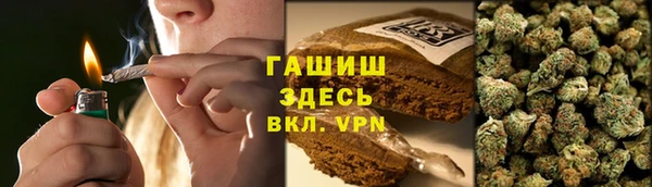 дмт Ельня