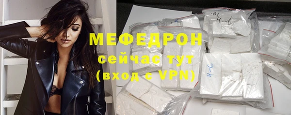 дмт Ельня