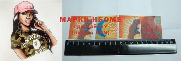 дмт Ельня