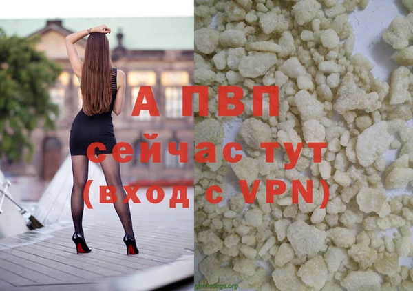 дмт Ельня