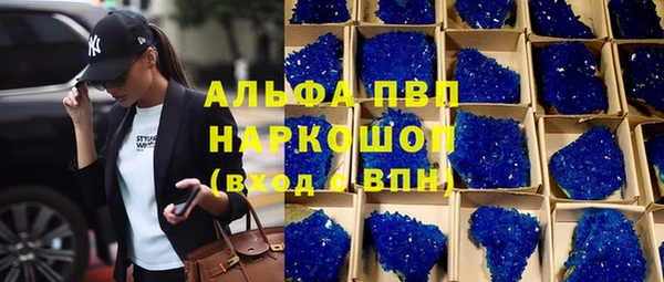 дмт Ельня