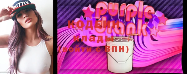 дмт Ельня